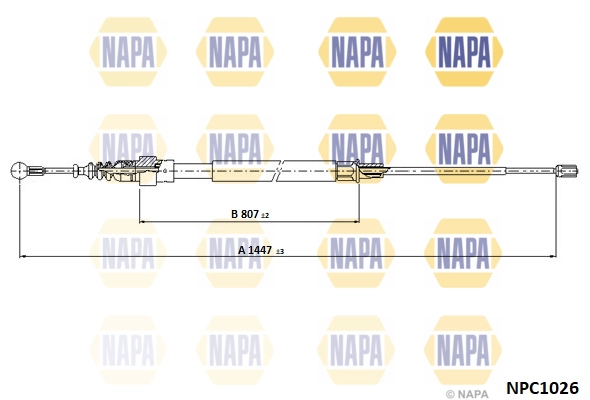 NPC1026