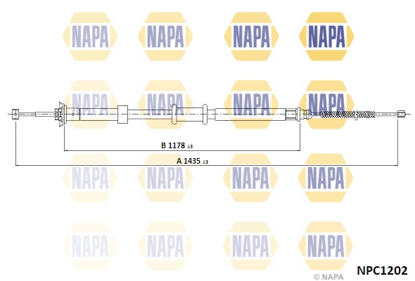 NPC1202