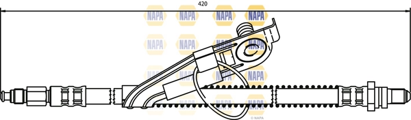 NBH1113