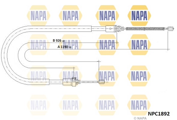 NPC1892