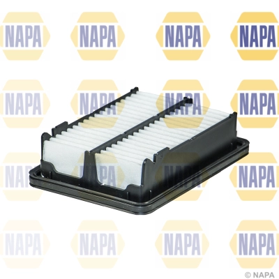NFA1293
