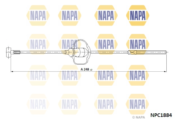 NPC1884