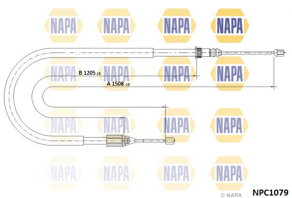 NPC1079
