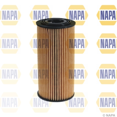 NFO3131