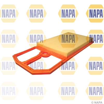 NFA1019
