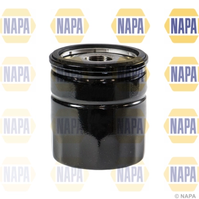 NFO3176