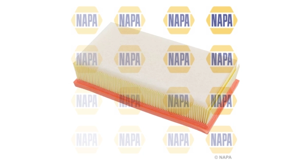 NFA1109