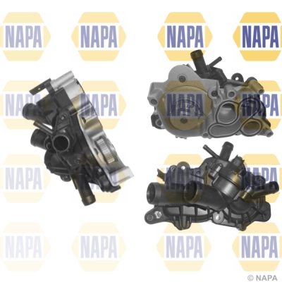 NWP1619
