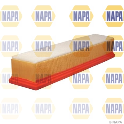NFA1301
