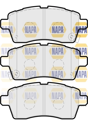 NBP1913