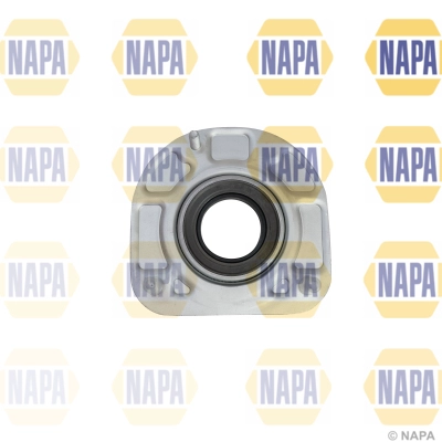 NKM1067