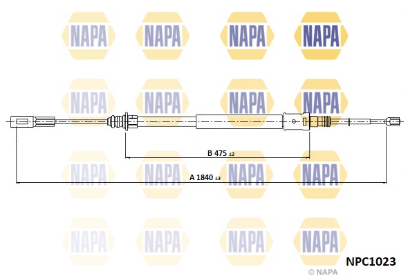 NPC1023
