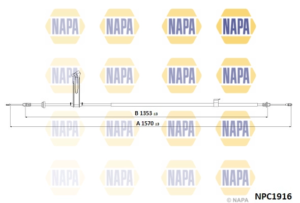 NPC1916