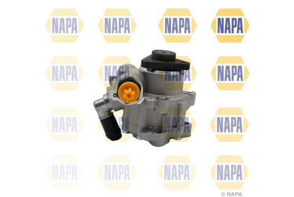 NPS1307