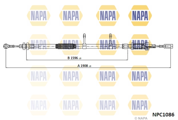 NPC1086