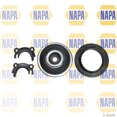 NKM1018