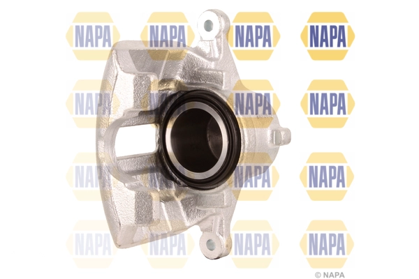 NCA1319