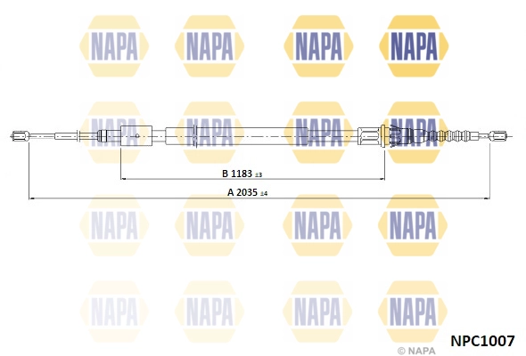 NPC1007