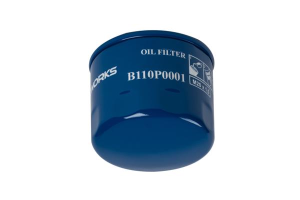 B110P0001