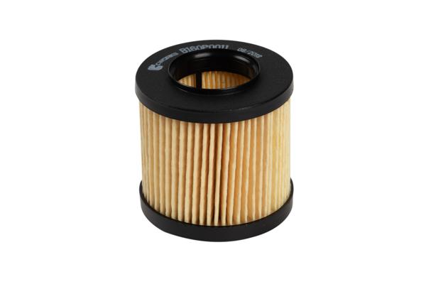 B160P0011