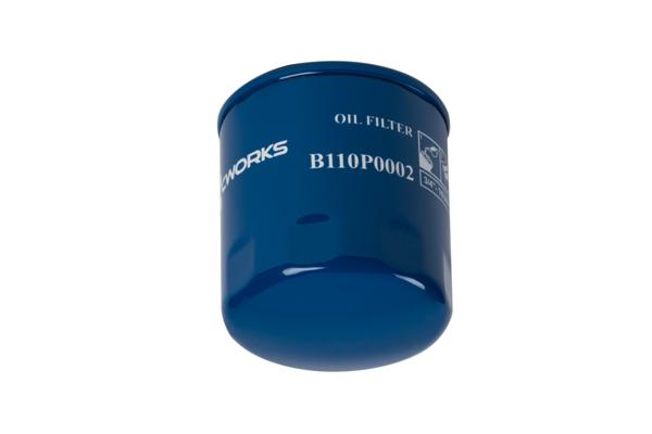 B110P0002