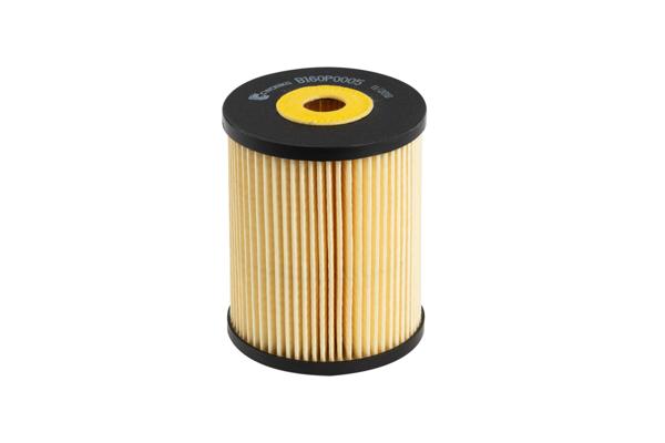 B160P0005