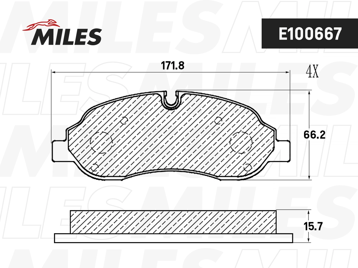 E100667