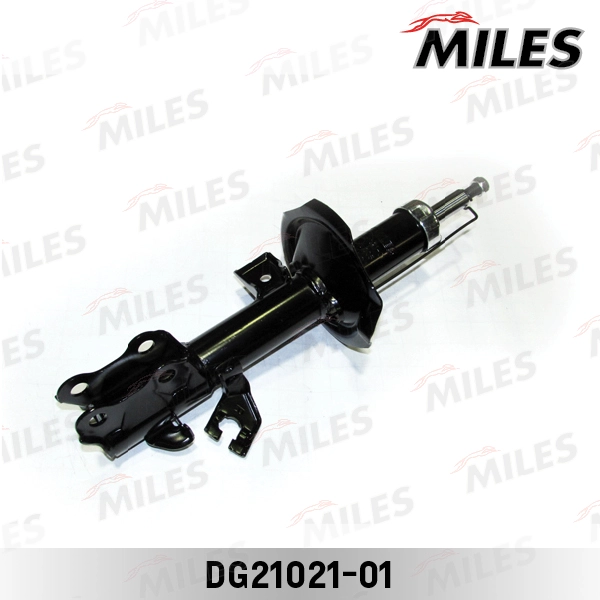DG21021-01