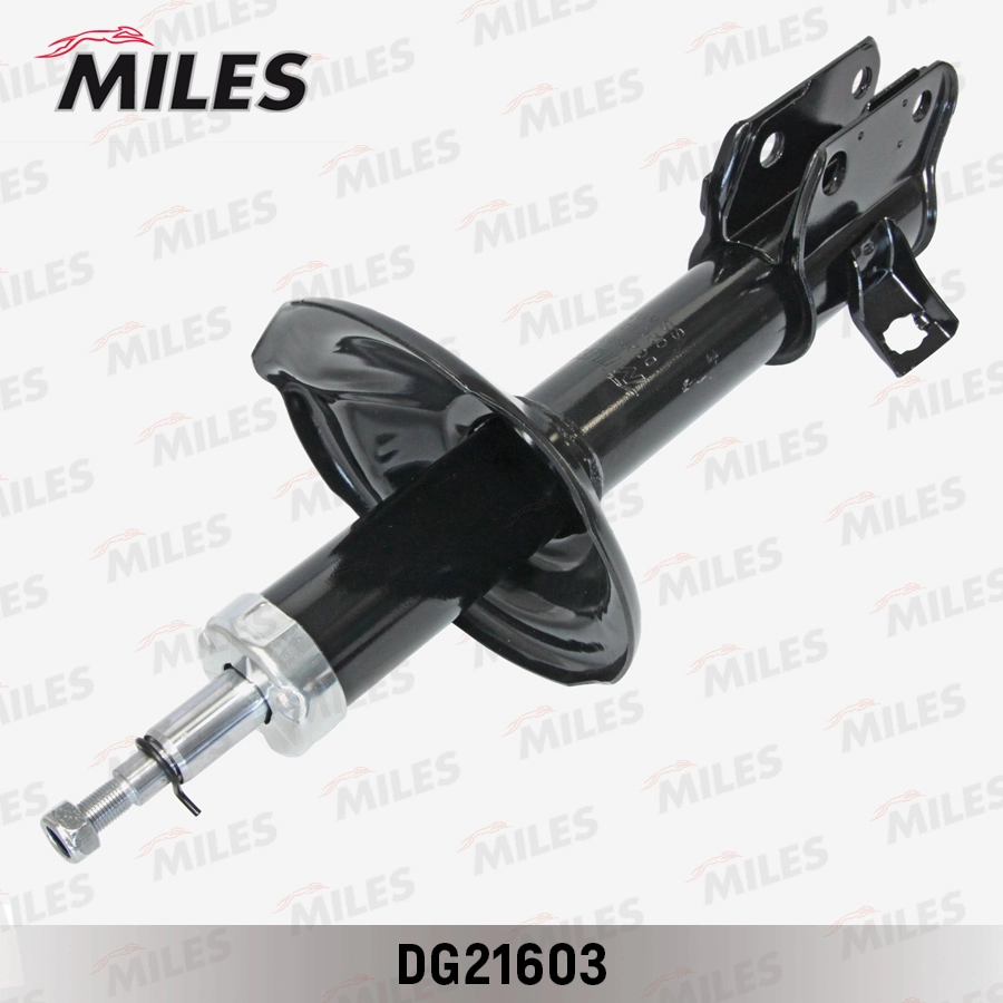 DG21603