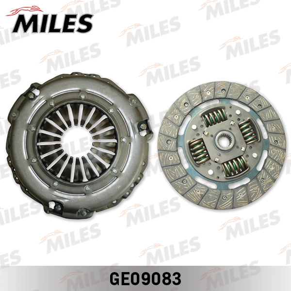 GE09083