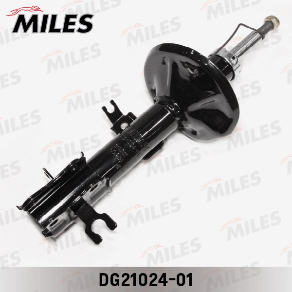 DG21024-01