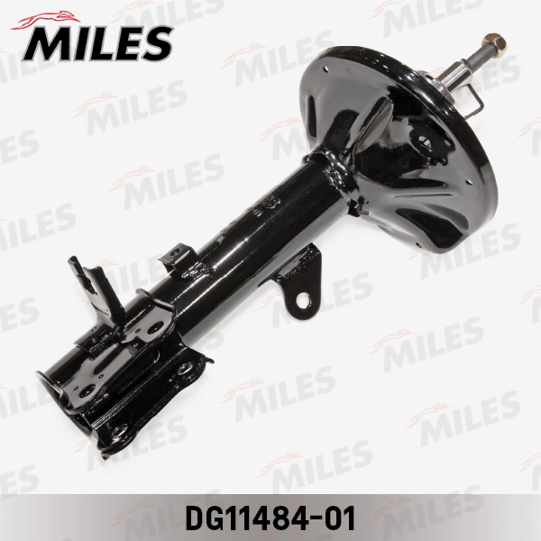 DG11484-01