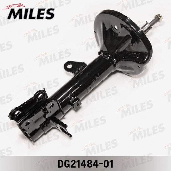 DG21484-01
