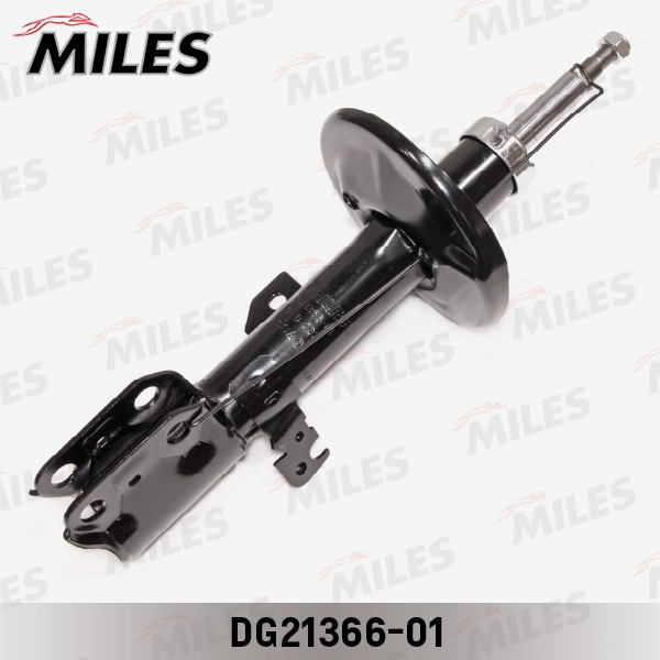 DG21366-01