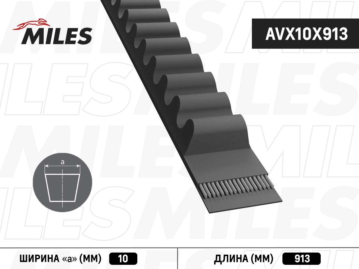 AVX10X913