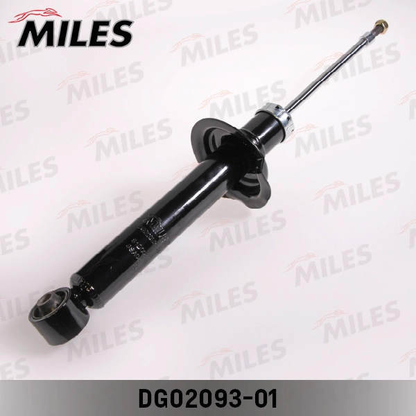 DG02093-01