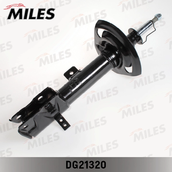 DG21320