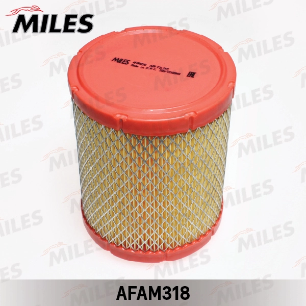 AFAM318