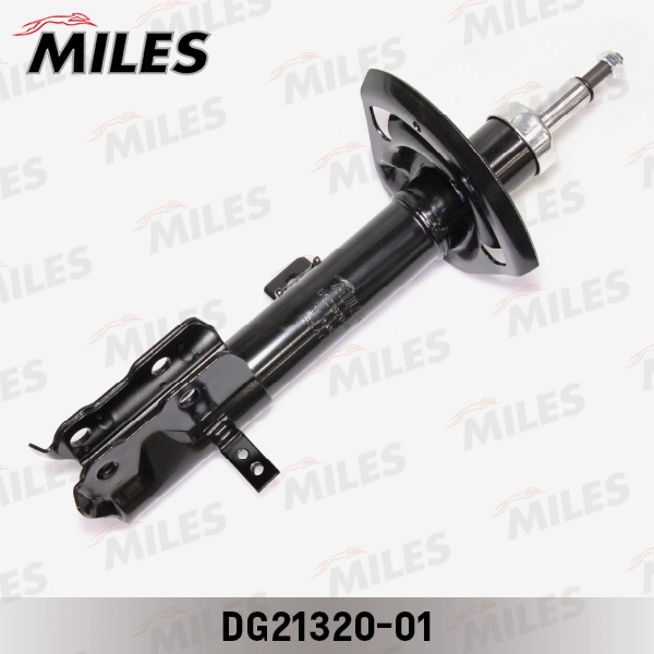 DG21320-01