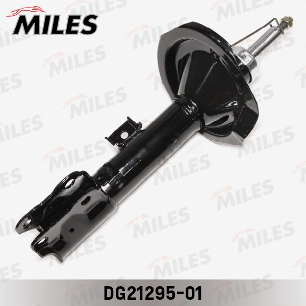 DG21295-01
