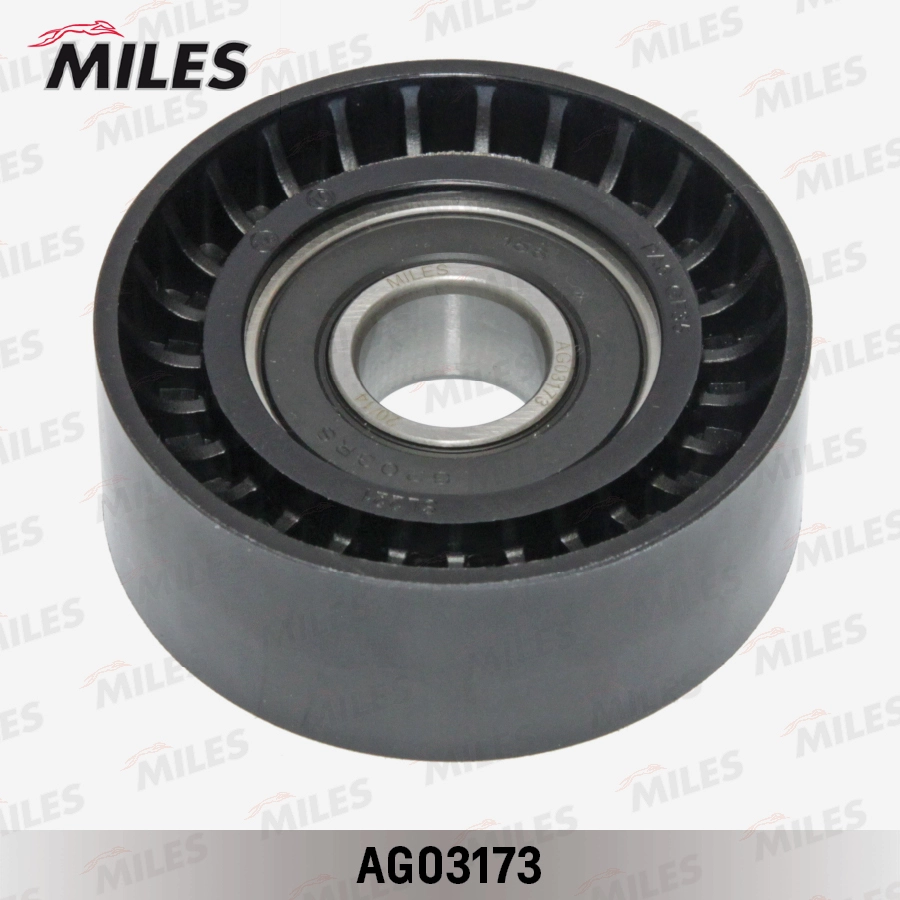 AG03173