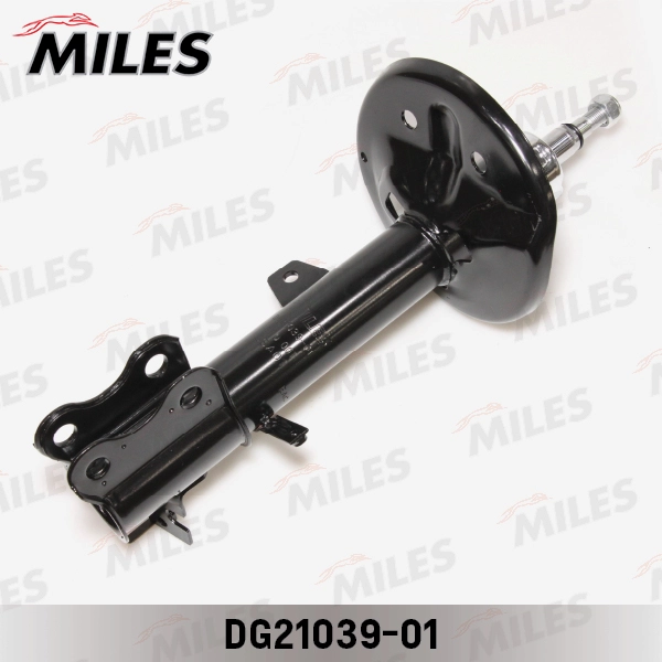 DG21039-01