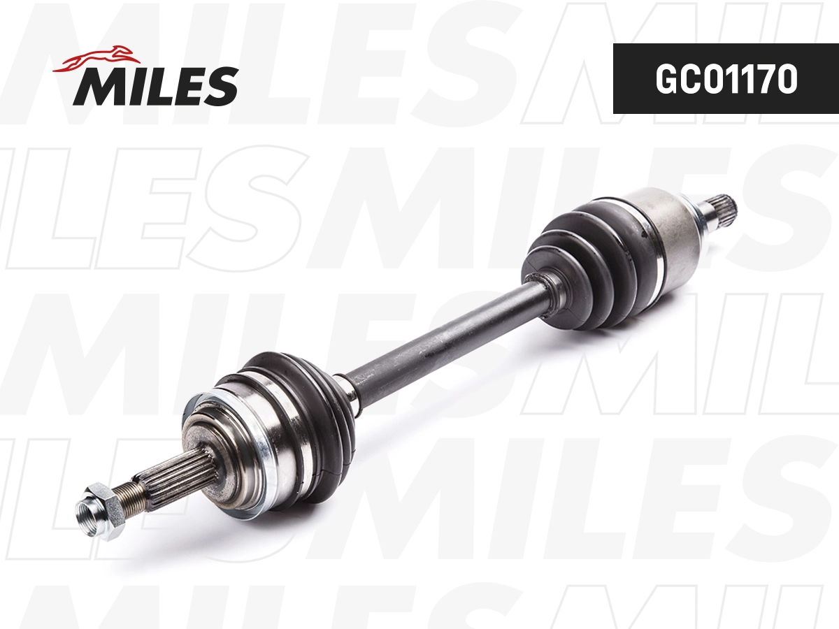 GC01170