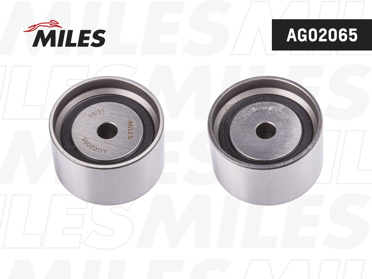AG02065