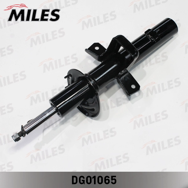 DG01065