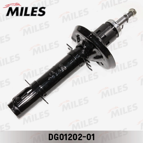 DG01202-01