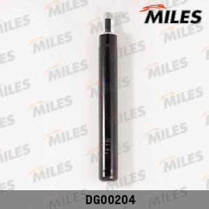 DM00204