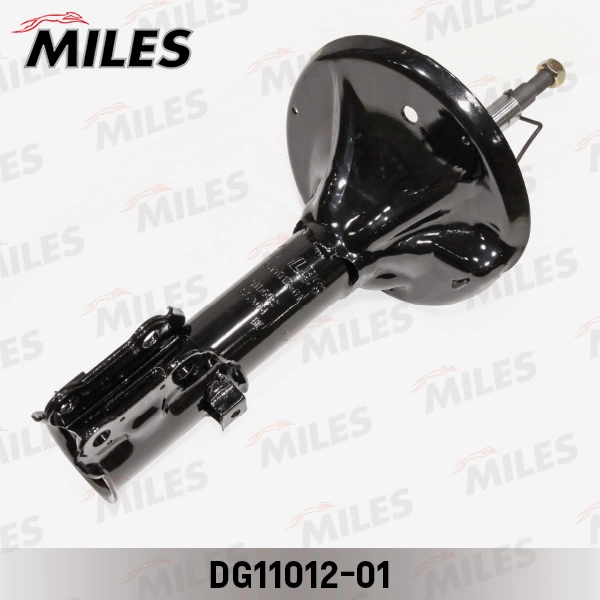DG11012-01