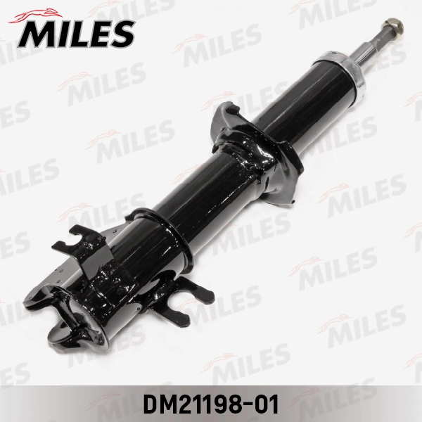 DM21198-01