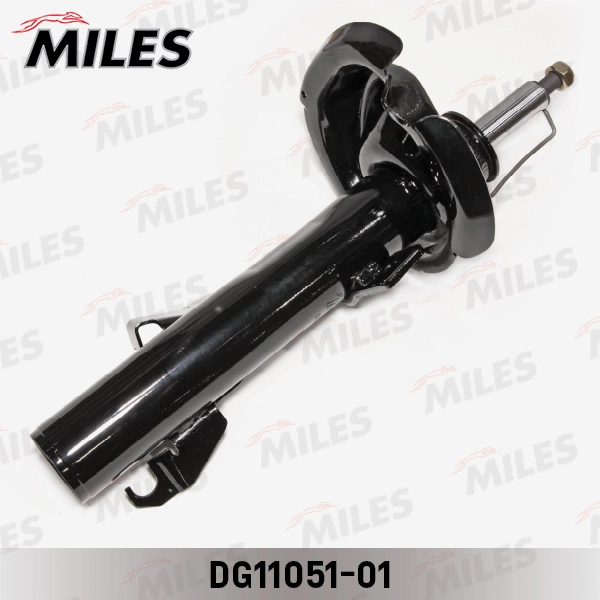 DG11051-01
